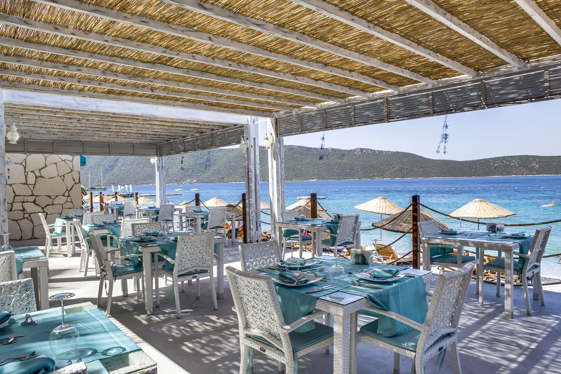 Restoranlar & Barlar