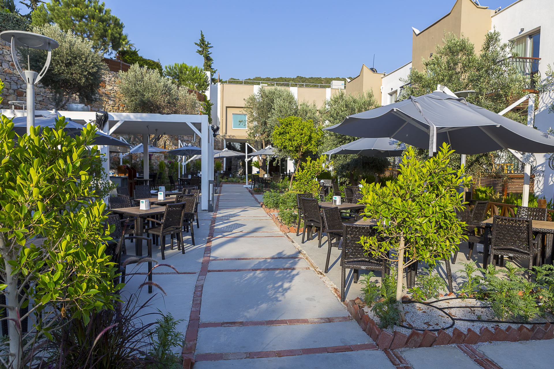 Restoranlar & Barlar 4